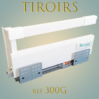 300g