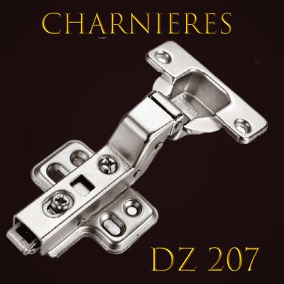 Dz 207